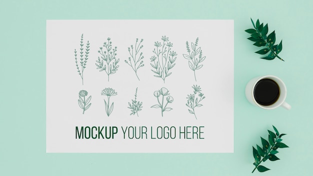 Vari disegni di mock-up botanici di foglie