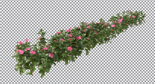 vari tipi di alberi piccole piante cespugli arbusti e fiori isolati