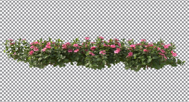 vari tipi di alberi piccole piante cespugli arbusti e fiori isolati