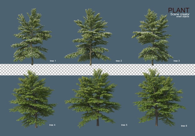 vari tipi di alberi
