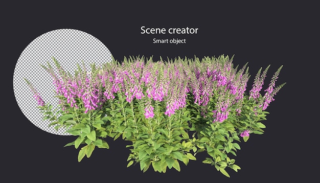Vari tipi di fiori di piccole piante cespugli arbusti e alberi isolati rendering