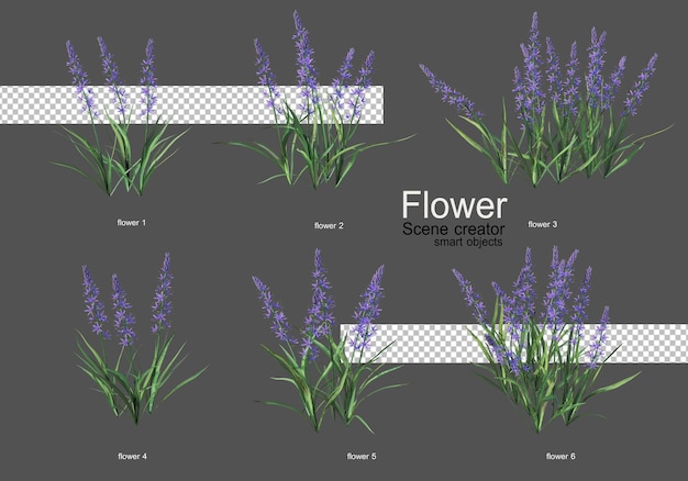 vari tipi di fiori diversi stili