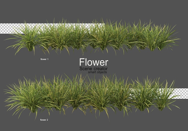 vari tipi di fiori diversi stili