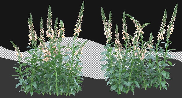 Vari tipi di fiori piante cespugli arbusti e piccole piante isolate