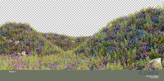Vari tipi di fiori sull'erba