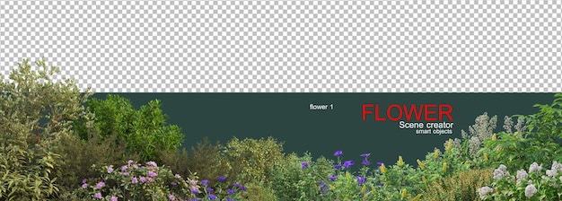 vari tipi di fiori