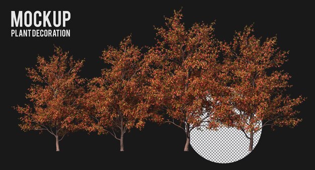 Vari tipi di rami di alberi, piante e piccoli alberi isolati piante a foglia arancione e verde