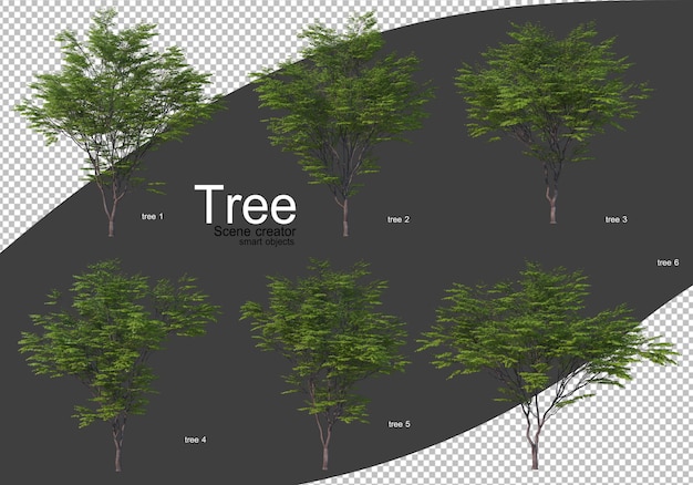 Vari tipi di rendering di alberi isolati