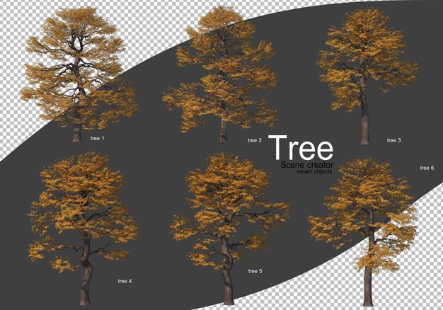 Vari tipi di rendering di alberi isolati