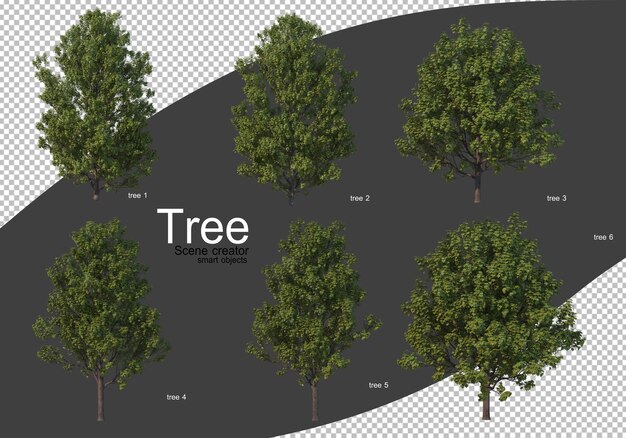 Vari tipi di rendering di alberi isolati