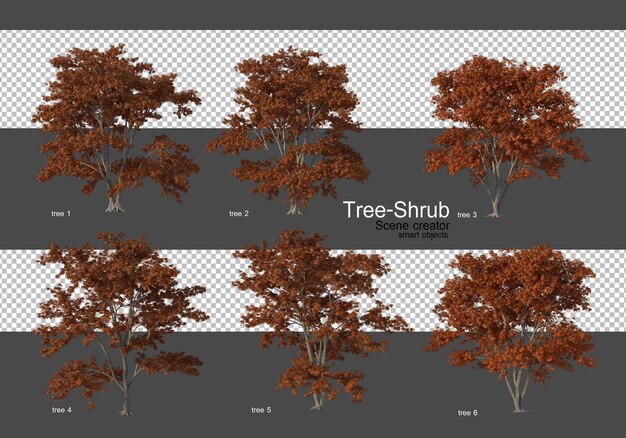 Varia ampia varietà di alberi e arbusti