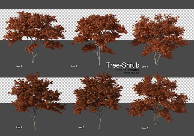 Varia ampia varietà di alberi e arbusti