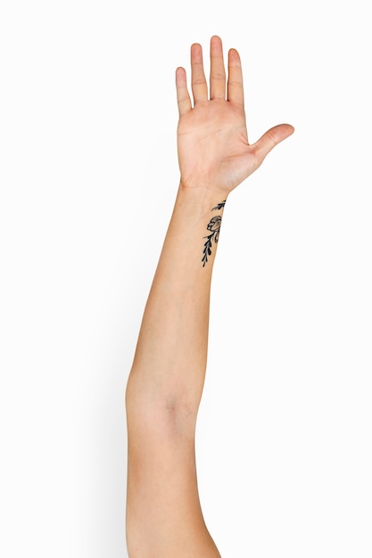 Variación del objeto en la mano