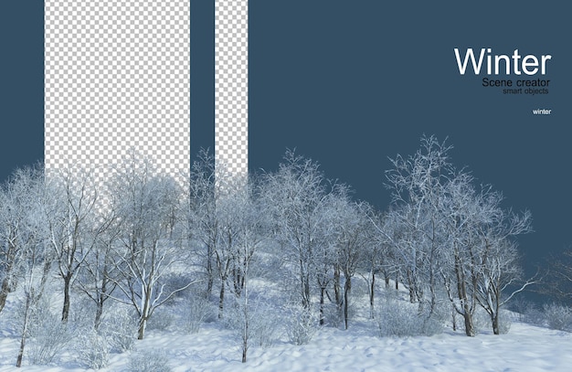 várias árvores no inverno