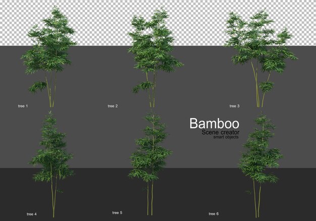 Várias formas de renderização de bambu