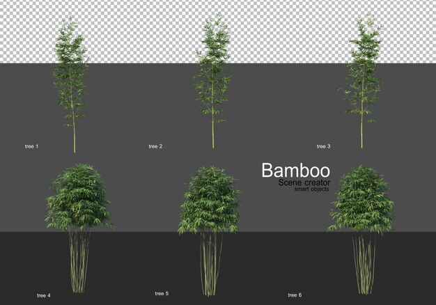 Várias formas de renderização de bambu