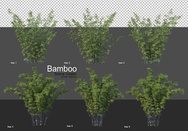 Várias formas de renderização de bambu