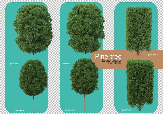 Várias formas de renderização de pinheiros