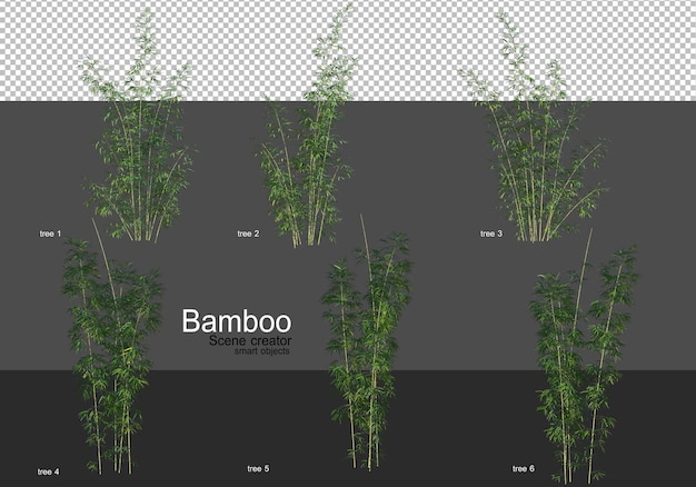 Varias formas de renderizado de bambú