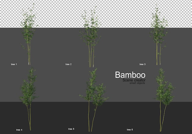 Varias formas de renderizado de bambú