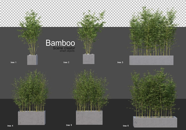 Varias formas de renderizado de bambú