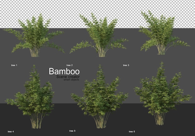 Varias formas de renderizado de bambú