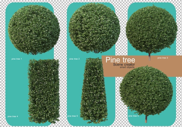 Varias formas de renderizado de pinos.