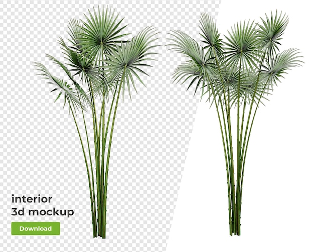 PSD várias plantas de decoração em vaso renderização em 3d