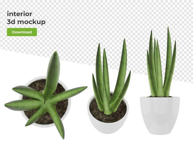 Várias plantas de decoração em vaso renderização em 3d