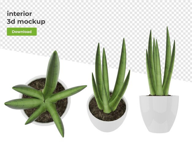 Varias plantas de decoración en maceta render 3d