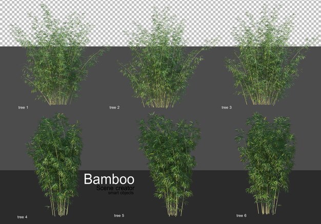 Varie forme di rendering di bambù