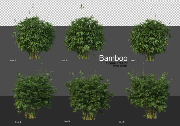Varie forme di rendering di bambù