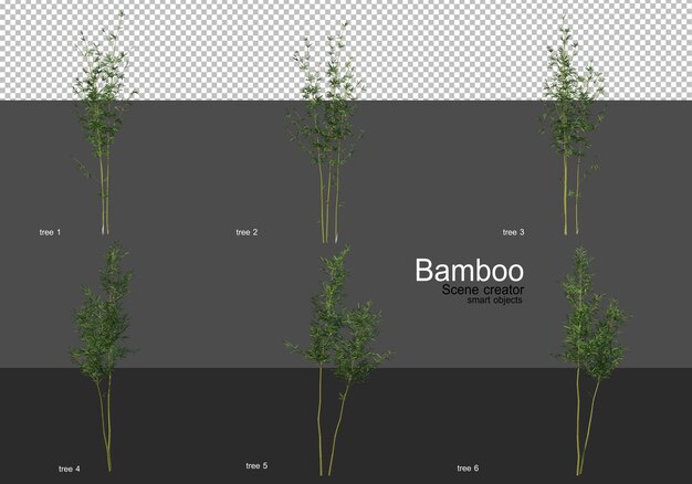 Varie forme di rendering di bambù