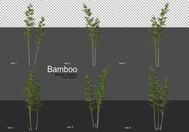Varie forme di rendering di bambù