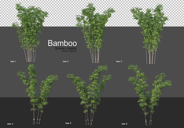 Varie forme di rendering di bambù