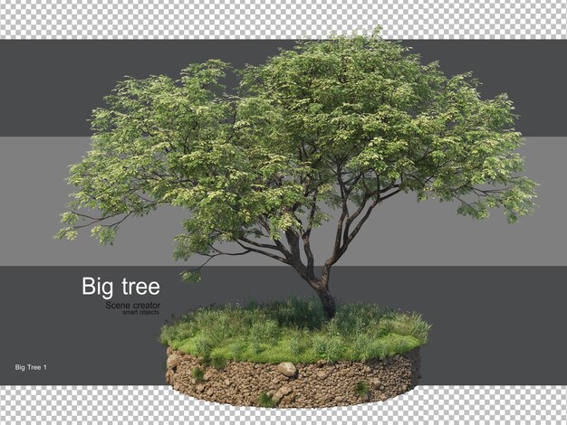 Varie forme di rendering di erba e alberi