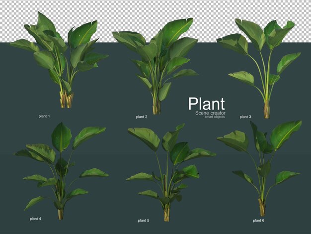 Una variedad de árboles decorativos.