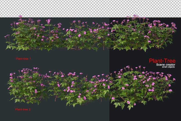 Una variedad de árboles y plantas