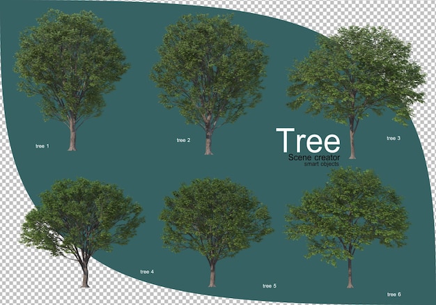 Variedad de árboles en renderizado 3d