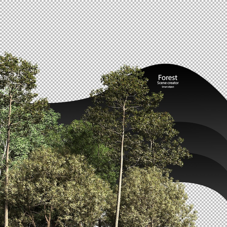 PSD variedad de árboles trazado de recorte árboles aislados representación de árbol 3d