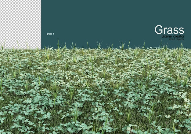 Variedad de diseños de césped y grava.