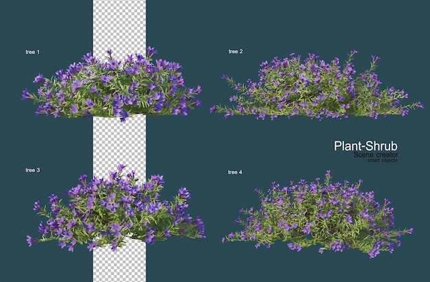 PSD variedad de flores y arbustos.