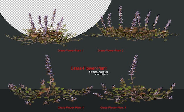 Una variedad de hierbas y plantas.