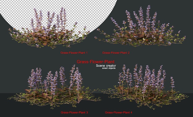 Una variedad de hierbas y plantas.