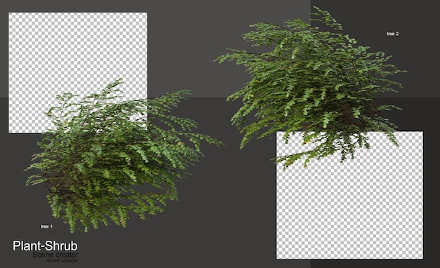 Variedad de plantas y arbustos para decorar el jardín.