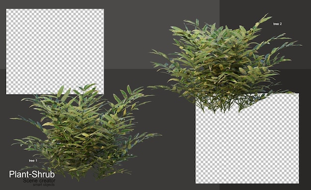 Variedad de plantas y arbustos para decorar el jardín.