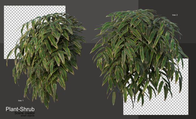 Variedad de plantas y arbustos para decorar el jardín.