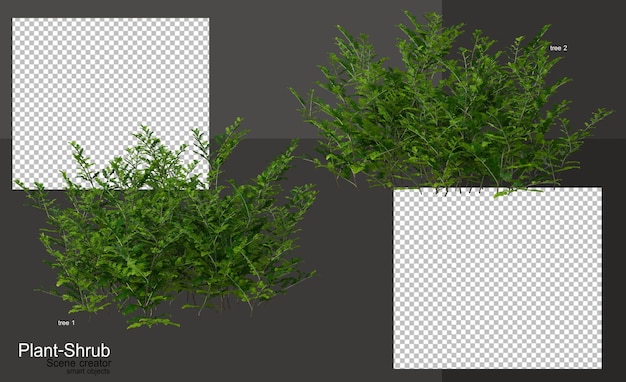 Variedad de plantas y arbustos para decorar el jardín.