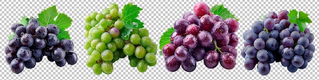 Variedad de racimos de uvas frescos aislados sobre un fondo transparente