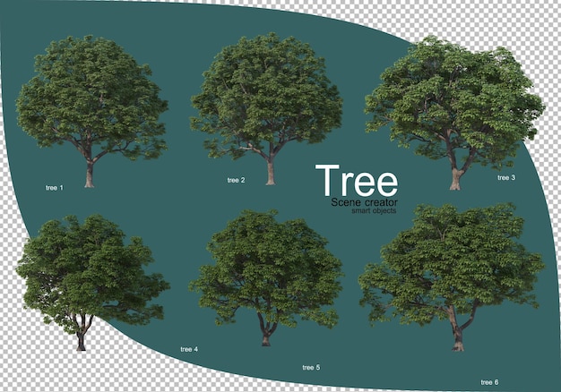 Variedade de árvores em renderização 3D